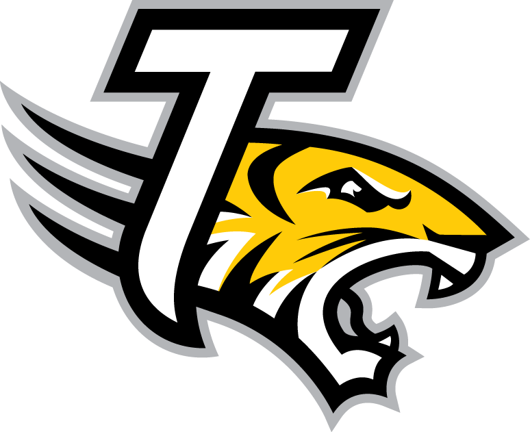 Towson Tigers 2004-Pres Alternate Logo v5 iron on transfers for clothing